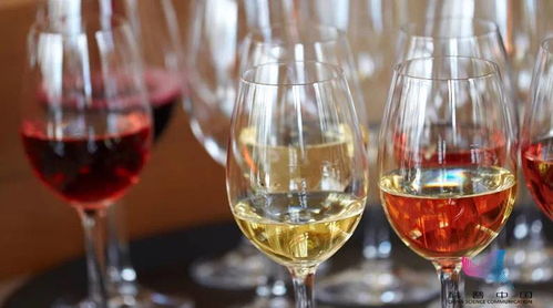 酒混着喝真的更容易醉吗？——揭开酒精与酒类混合的真相