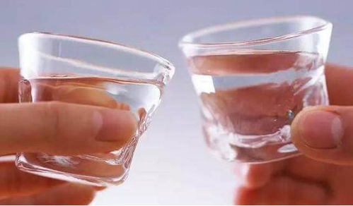 工程院院士揭秘 这些酒精饮料对健康最有益，其他酒不可比拟